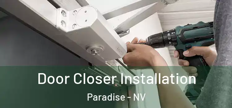  Door Closer Installation Paradise - NV