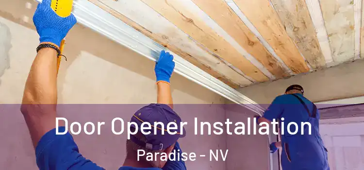 Door Opener Installation Paradise - NV