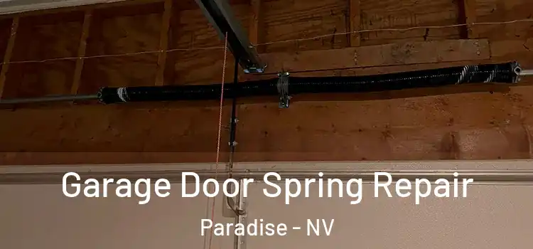  Garage Door Spring Repair Paradise - NV