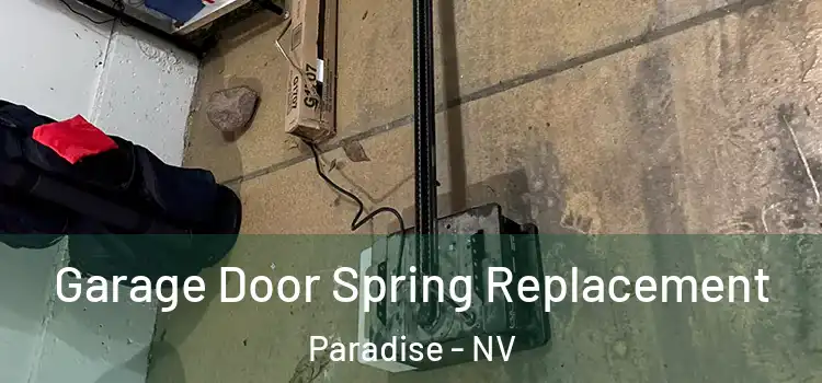  Garage Door Spring Replacement Paradise - NV