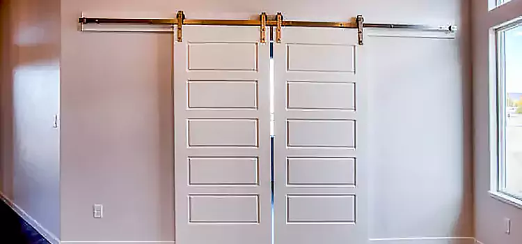 Glass Barn Door with Installation Hardware Kit Paradise