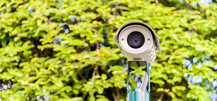 Advanced Surveillance Solutions for Every Need in Paradise