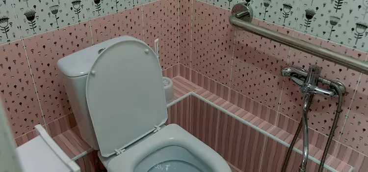 Meeting Diverse Needs With Accessible Restroom Solutions in Paradise, NV