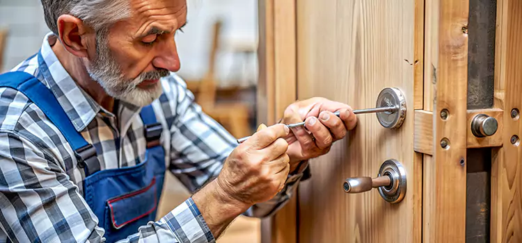 Mortise Replacement Lock Paradise