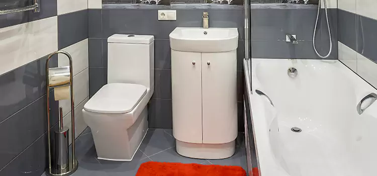 Hansgrohe Shaving Mirror Paradise