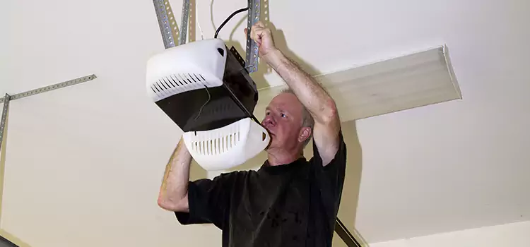 Garage Door Opener Service Paradise