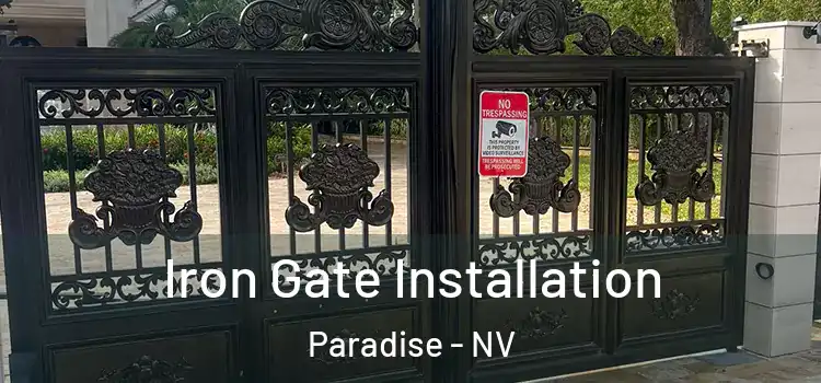  Iron Gate Installation Paradise - NV