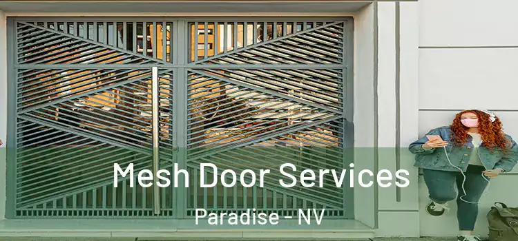 Mesh Door Services Paradise - NV